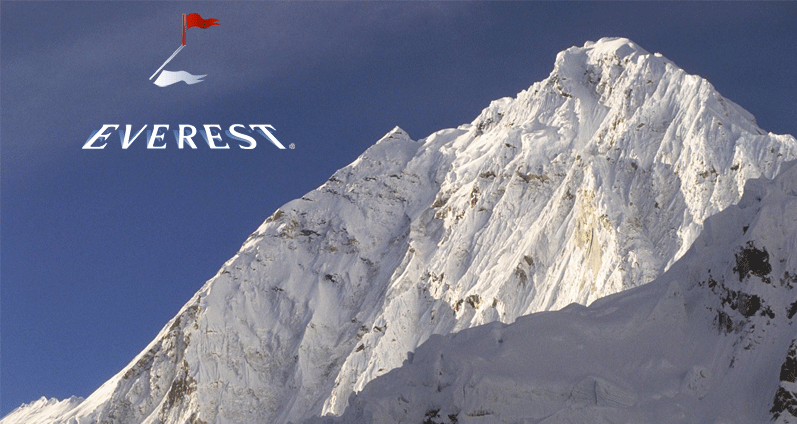 Everest National Insurance